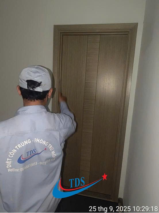 Dịch Vụ Diệt Gián Triệt Để