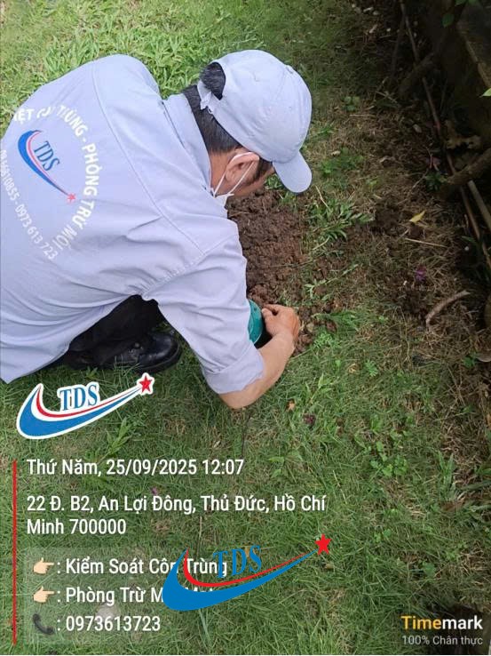 Dịch vụ bắt rắn chuyên nghiệp xử lý an toàn tại nhà của TDS