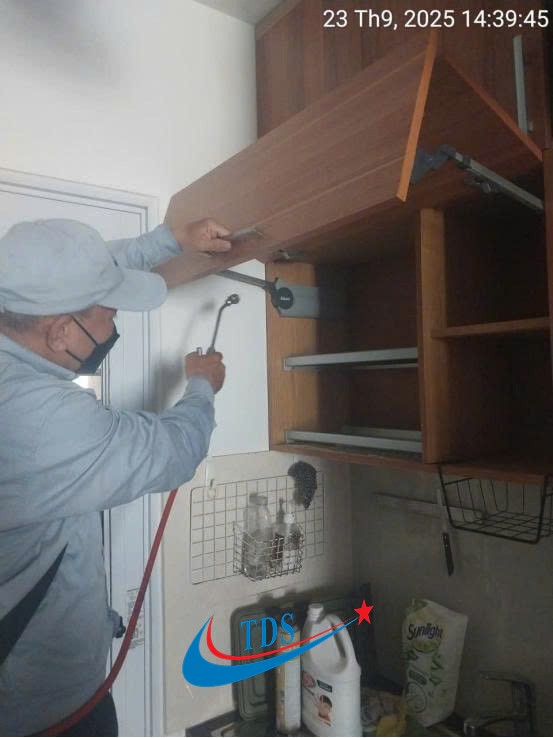 Dịch Vụ Phun Thuốc Muỗi Hiệu Quả
