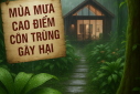 CÔNG TY TRÁCH NHIỆM HỮU HẠN THƯƠNG MẠI DỊCH VỤ TDS