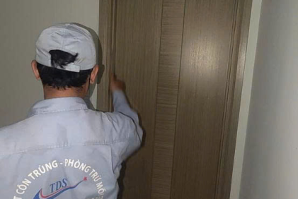 Dịch Vụ Diệt Gián Triệt Để - Giải Pháp Diệt Tận Gốc Cho Nhà Bếp Và Nhà Hàng