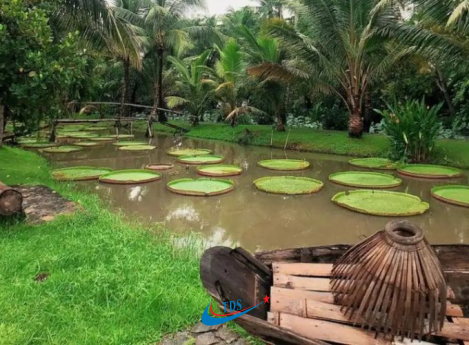 KHU DU LỊCH BÌNH QUỚI 1, 2, 3